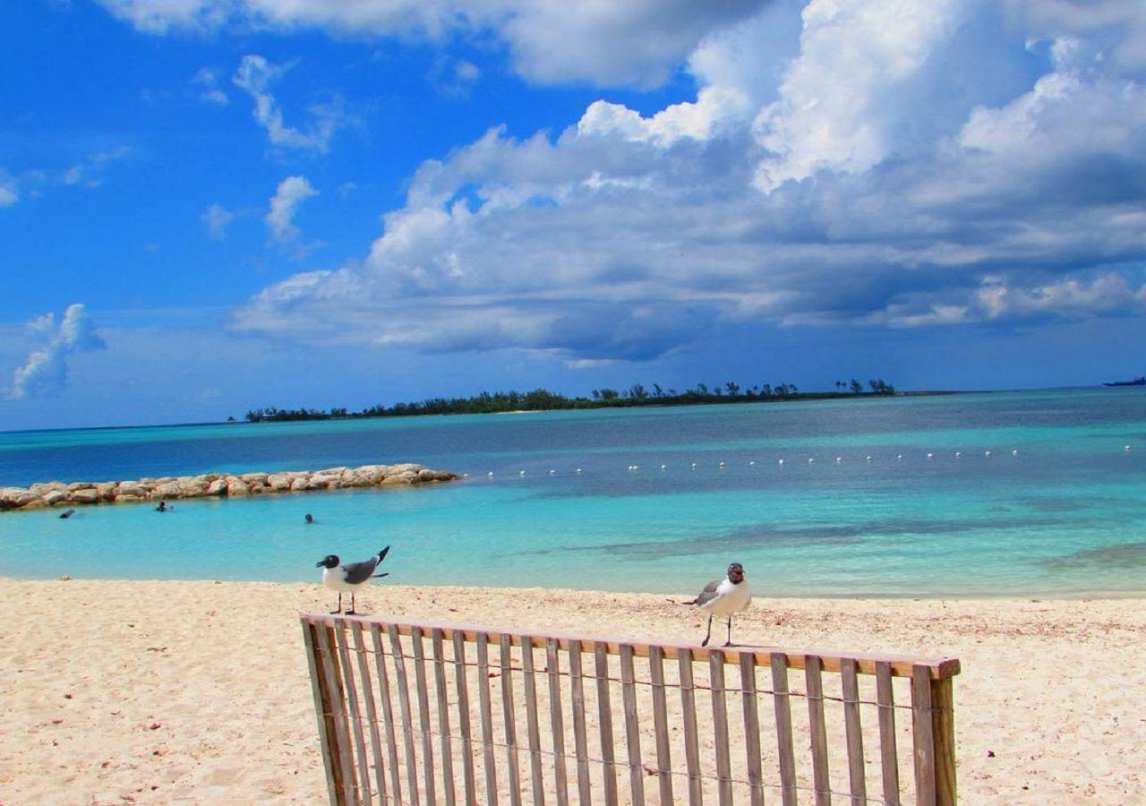 The Oasis Retreat Lejlighed Nassau Eksteriør billede